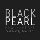 Black Pearl icône