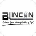 ”Blincon