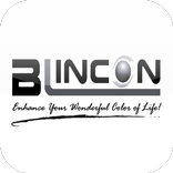 ”Blincon