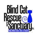 APK Blind Cat Rescue & Sanctuary