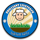 BRILLIANT LIVESTOCK 아이콘