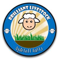 BRILLIANT LIVESTOCK 포스터