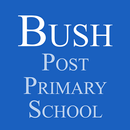 Bush Post Primary School APK