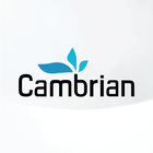Cambrian Flower Montreal 图标