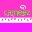Cameez FroYo and Coffee