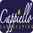 Cappiello 图标