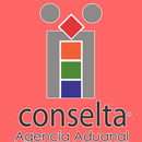 Conselta Agencia Aduanal APK