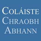 Coláiste Chraobh Abhann icône