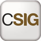 CSIG Holding ícone