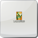 Caguas Real APK