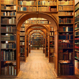 Biblioteca-icoon