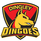 Dingley Football Netball Club ícone