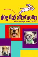 Dog Day Afternoon постер