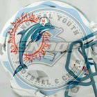 Modesto Dolphins Football أيقونة