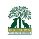 Doylestown Vet
