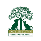 Doylestown-icoon