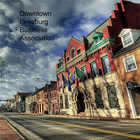 Downtown Leesburg Business ACA أيقونة