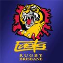 Easts Tigers Rugby Union Club APK