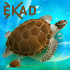 EKAD 图标