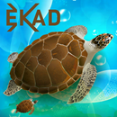 EKAD APK