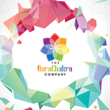 Aura Chakra