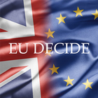 EU DECIDE 아이콘