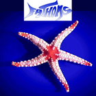 Fathoms Aquatics icon