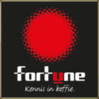 Fortune regio Drenthe ícone