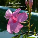 Fork Handles APK