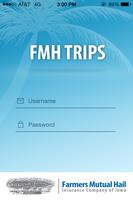 FMH Trips poster