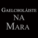 Gaelcholáiste Na Mara icône