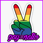 Gaynativ 圖標