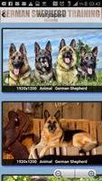 German Shepherd Training Guide capture d'écran 2