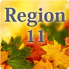 Region 11 icône