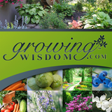 Growing Wisdom icône