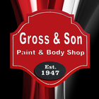 Gross and Son Paint and Body icône