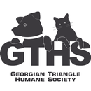 Georgian Triangle H.S aplikacja