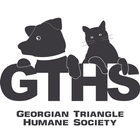 Georgian Triangle H.S icône