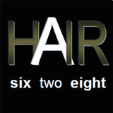 Hair 628 icône