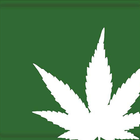 HempBook icon