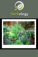 Herbology On The Go Affiche