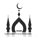 Icami APK
