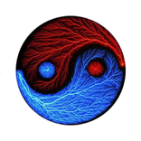 кафе «Инь-Ян»