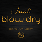 Just Blow Dry icon