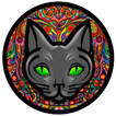 Kava Kat