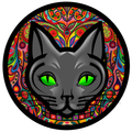 Kava Kat