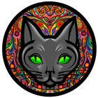 Kava Kat icono