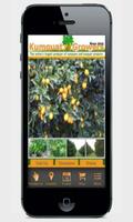Kumquat Growers Plakat