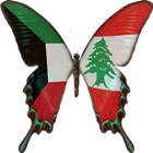 Lebanese Embassy in Kuwait icône