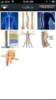 2 Schermata Long Chiropractic